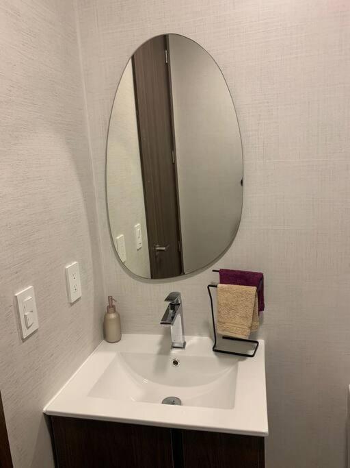 Confort Suite La Carolina キト エクステリア 写真